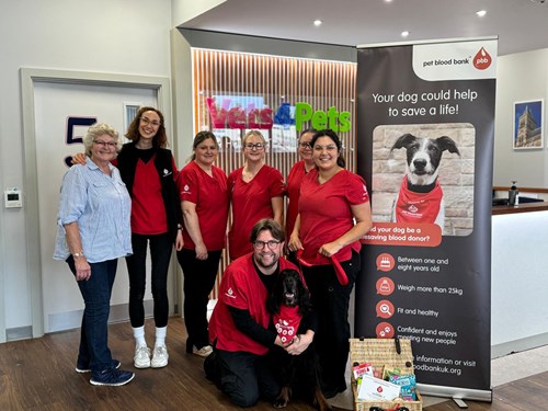 Sharwood and Sue with the Pet Blood Bank team